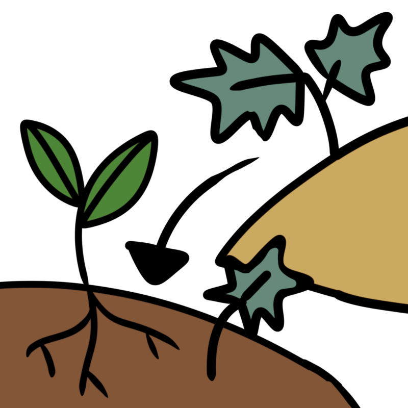 on a tan colored land mound there is a pointy leaf plant. An arrow points from there to a brown land mound where another pointy leaf plant is sprouting next to a smooth leafed plant. The smooth leafed plant has longer roots.
